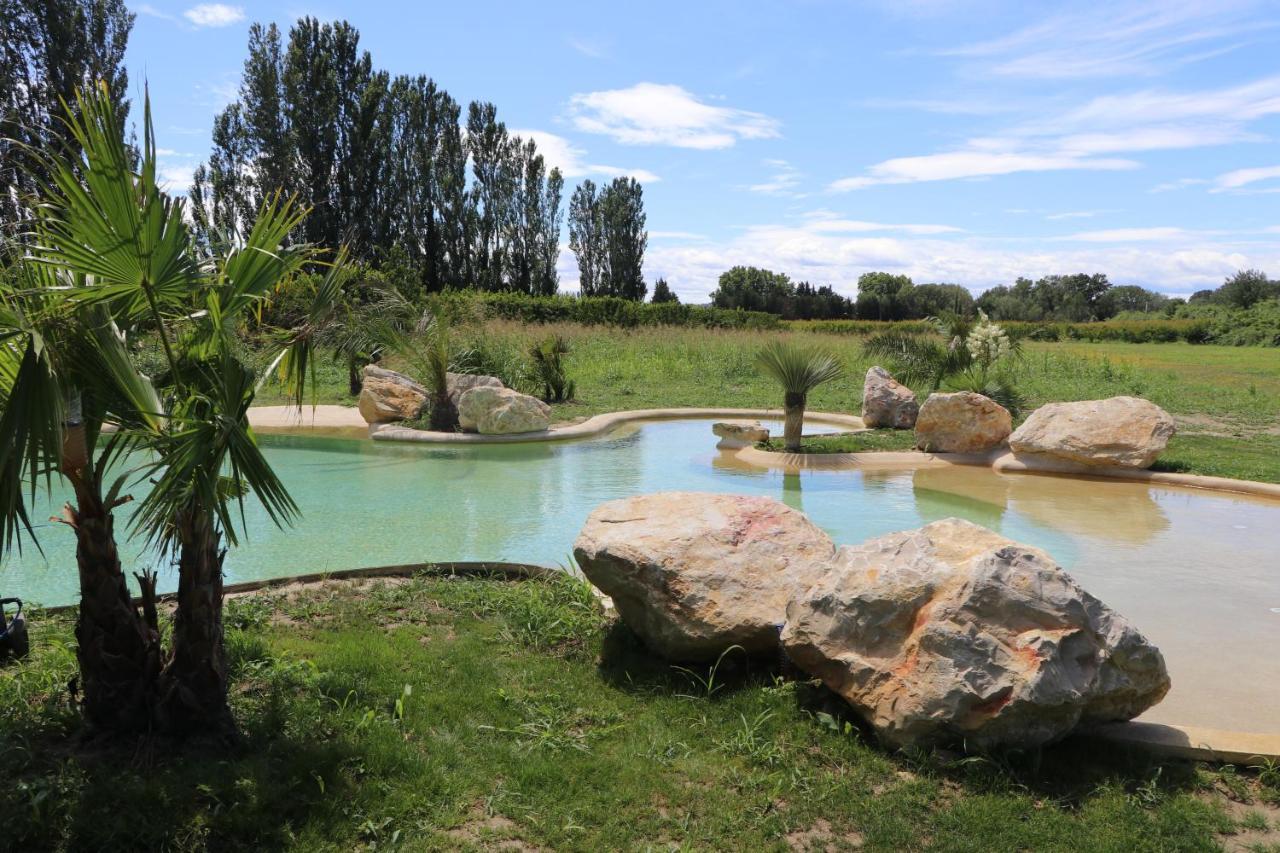 Le Mas Des Cerisiers Jacuzzi Et Sauna Inclus Pour Tous Les Logements 아비뇽 외부 사진