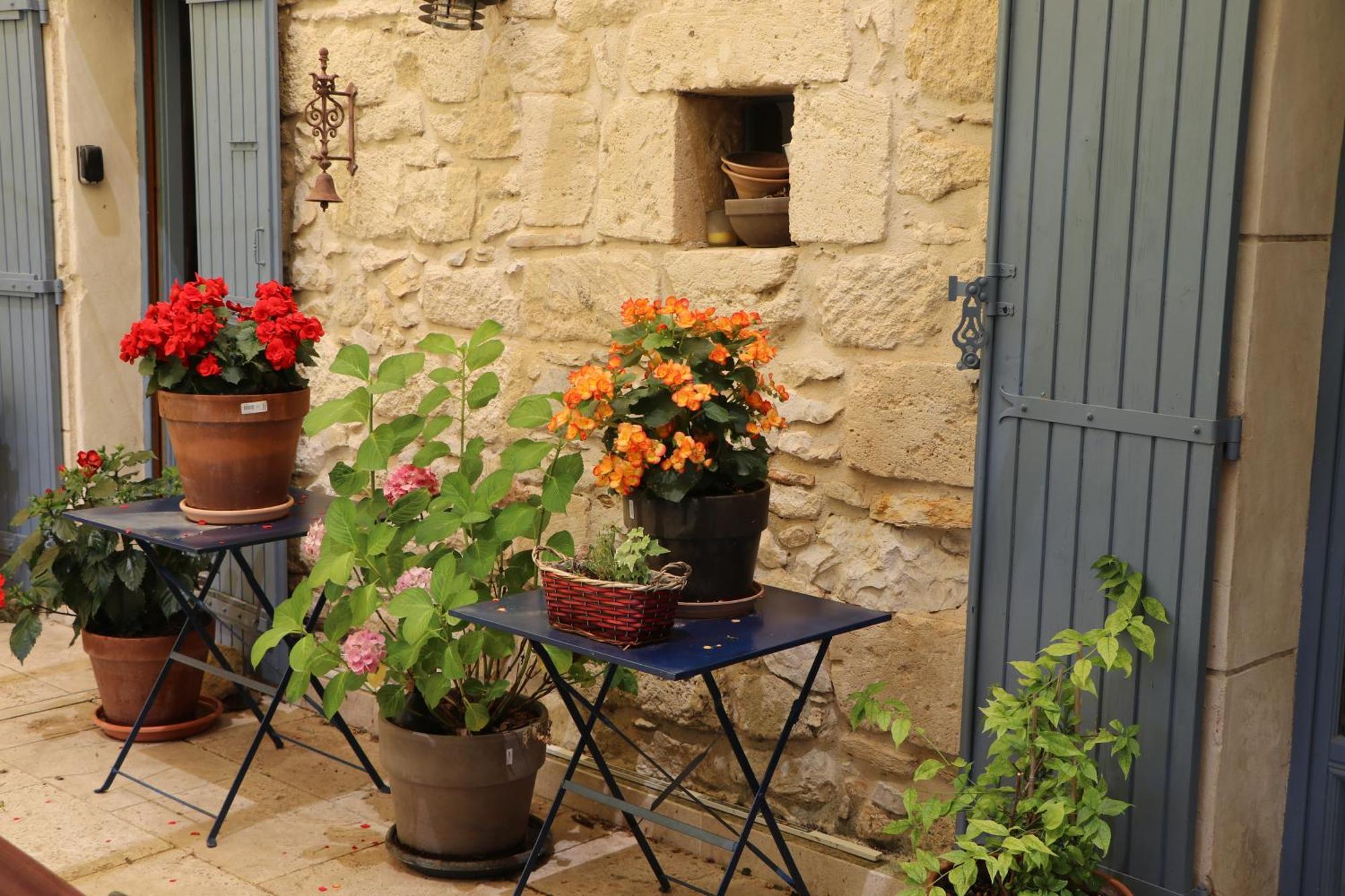 Le Mas Des Cerisiers Jacuzzi Et Sauna Inclus Pour Tous Les Logements 아비뇽 외부 사진