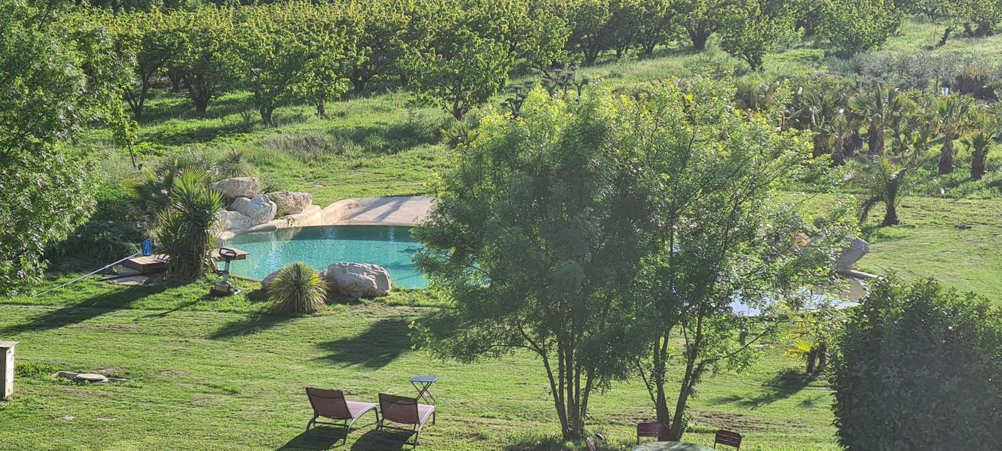 Le Mas Des Cerisiers Jacuzzi Et Sauna Inclus Pour Tous Les Logements 아비뇽 외부 사진